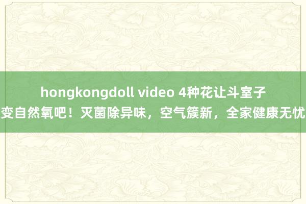 hongkongdoll video 4种花让斗室子变自然氧吧！灭菌除异味，空气簇新，全家健康无忧
