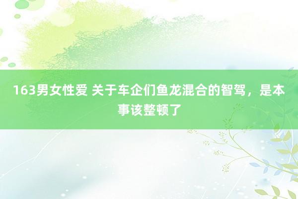 163男女性爱 关于车企们鱼龙混合的智驾，是本事该整顿了