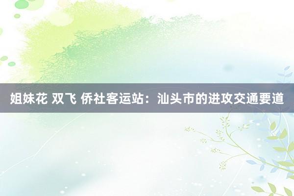 姐妹花 双飞 侨社客运站：汕头市的进攻交通要道