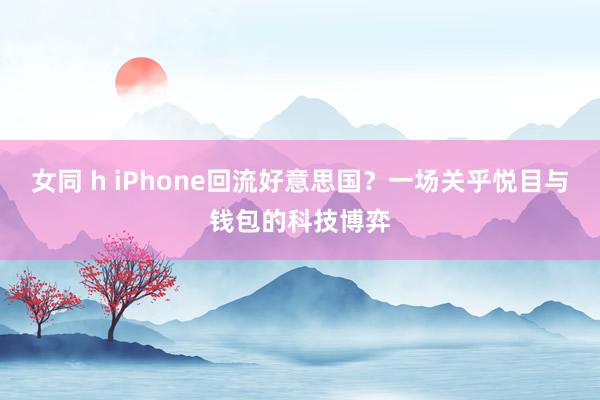 女同 h iPhone回流好意思国？一场关乎悦目与钱包的科技博弈