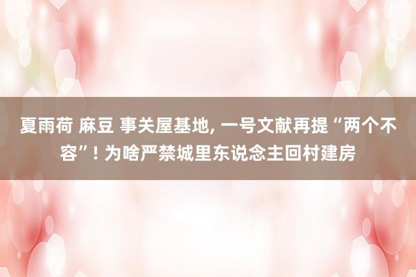 夏雨荷 麻豆 事关屋基地, 一号文献再提“两个不容”! 为啥严禁城里东说念主回村建房