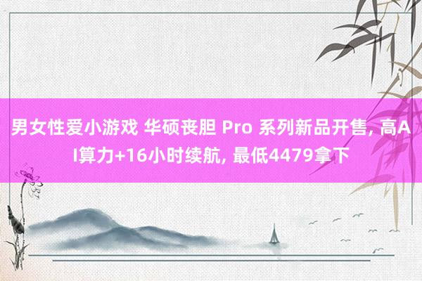 男女性爱小游戏 华硕丧胆 Pro 系列新品开售, 高AI算力+16小时续航, 最低4479拿下