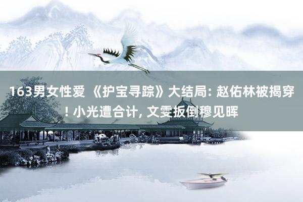163男女性爱 《护宝寻踪》大结局: 赵佑林被揭穿! 小光遭合计, 文雯扳倒穆见晖
