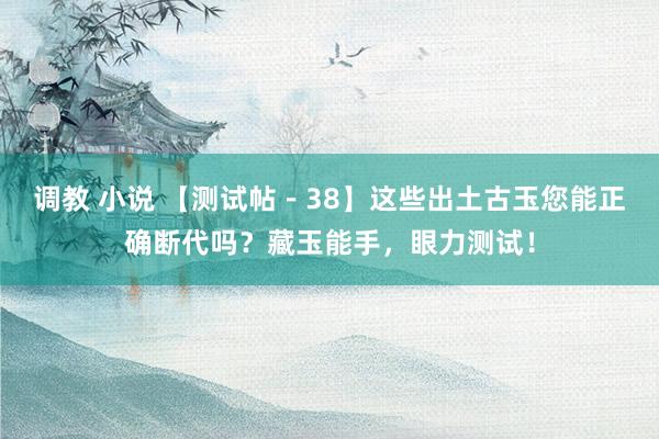 调教 小说 【测试帖－38】这些出土古玉您能正确断代吗？藏玉能手，眼力测试！